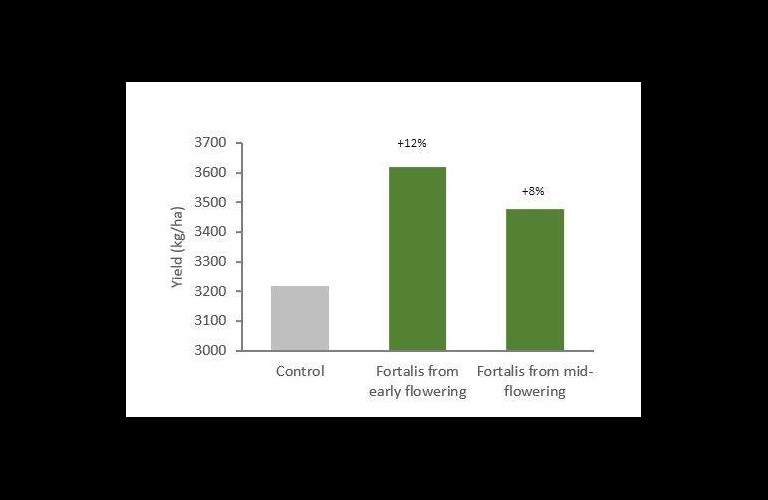graph showing peanut yield uplift when fortalis is applied