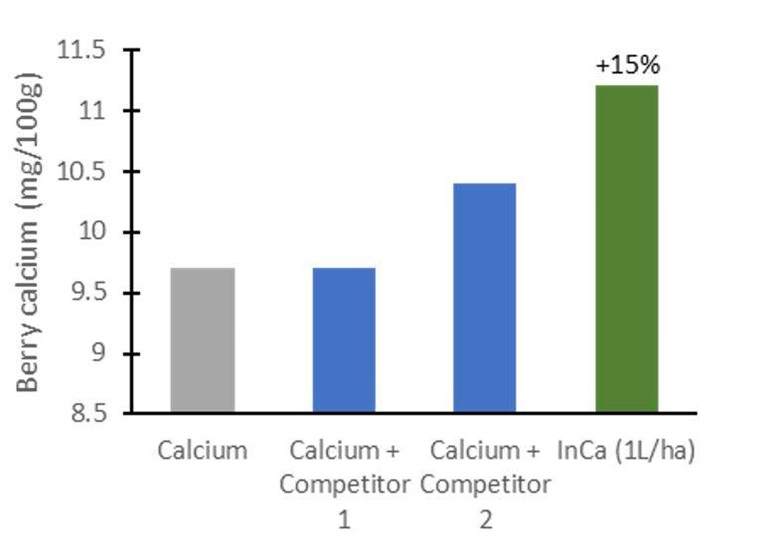 graph showing increased berry calcium in grapes when Inca is applied