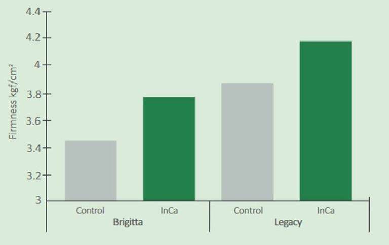 graph showing yield uplift of blueberries when InCa is applied