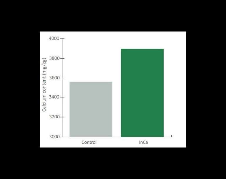 yield uplift graph for potatoes when inca is applied