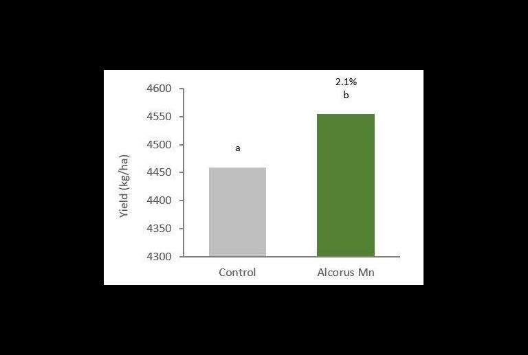 Soybean yield uplift graph when Alcorus is used