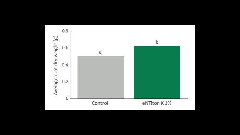 lettuce root biomass uplift graph when entiton is applied