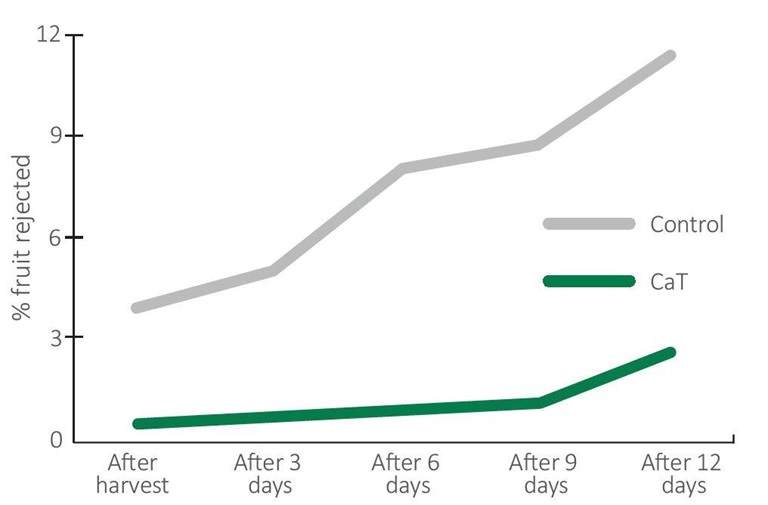 Graph showing how application of our calcium mobility technology results in a lower number of rejected soft fruit