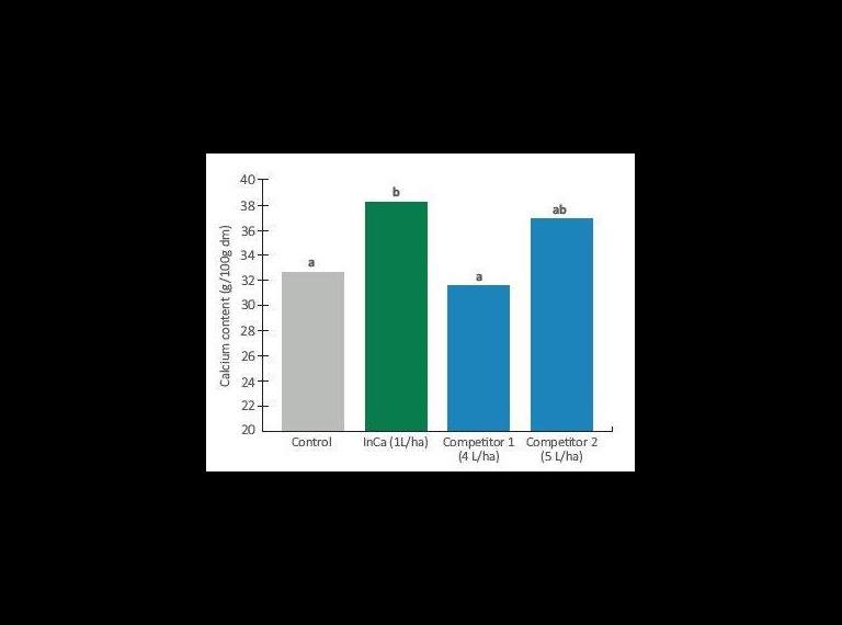 Graph of calcium content increase in brassica when InCa is applied