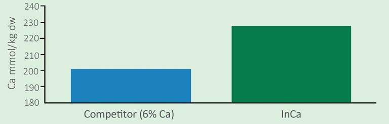 Graph showing how InCa with our calcium mobility technology application increased calcium concentration in lettuce leaf