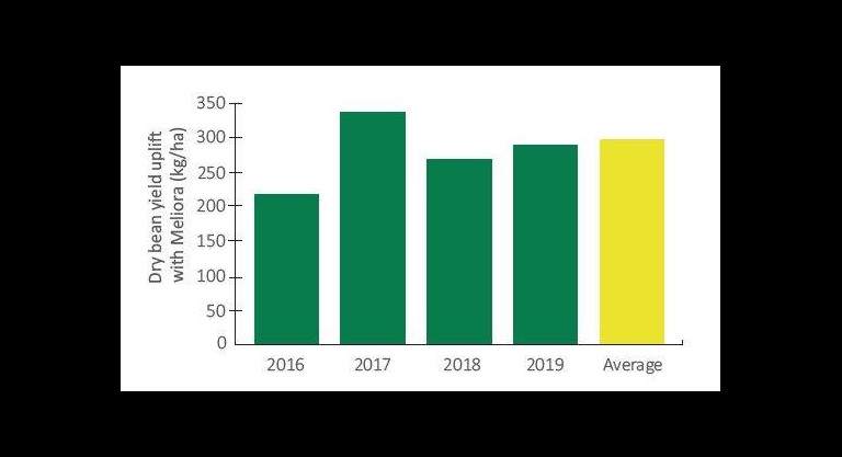 Cocoa yield uplift graph when meliora is applied