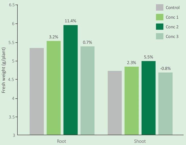 Graph showing beneficial effects of Talsano enhanced plant growth technology on root and shoot growth