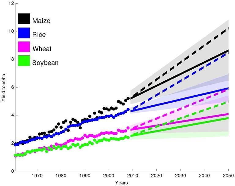 Graph showing the yield gap of maize, rice, soybean and wheat