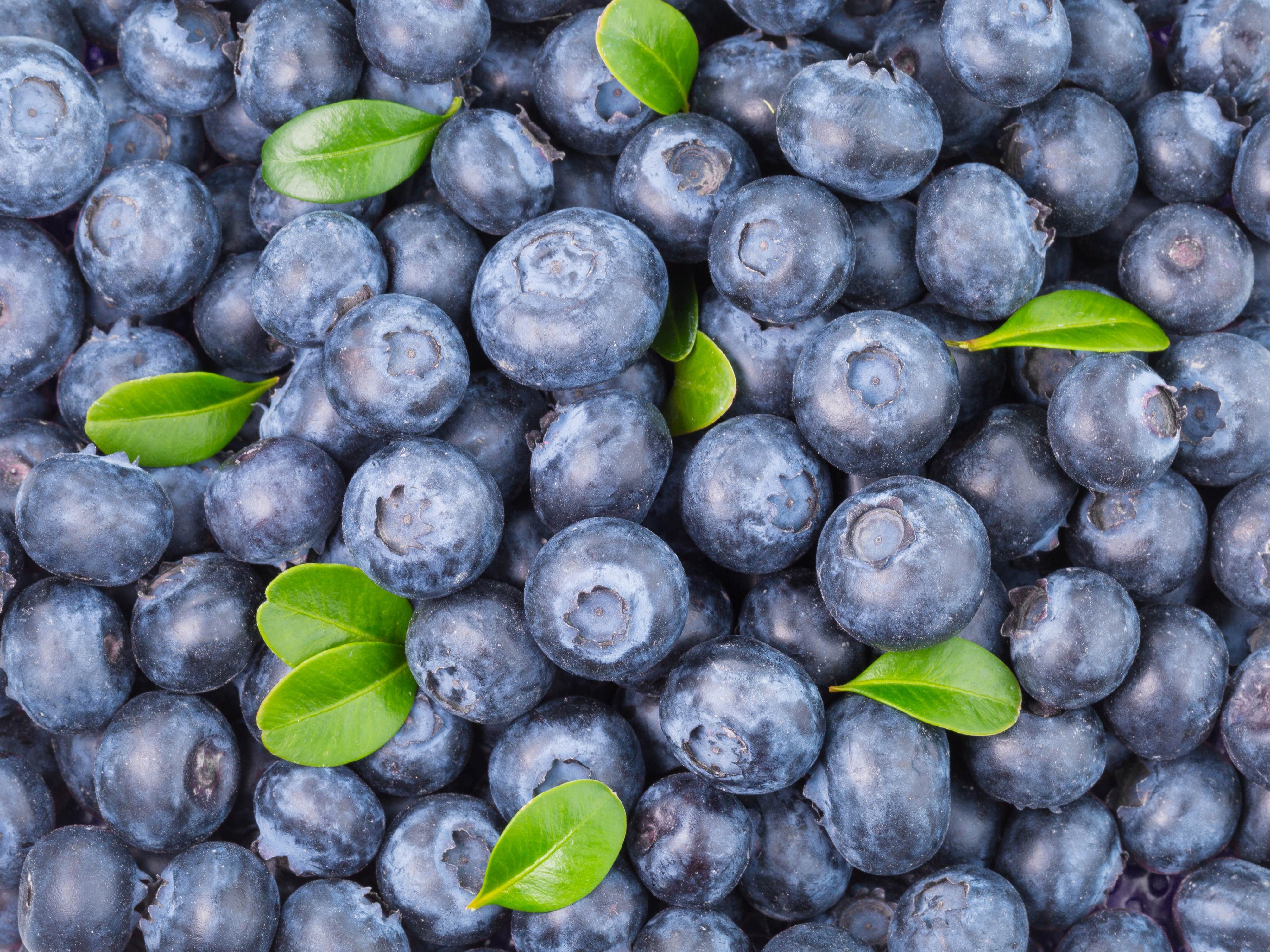 pile of fresh blueberries