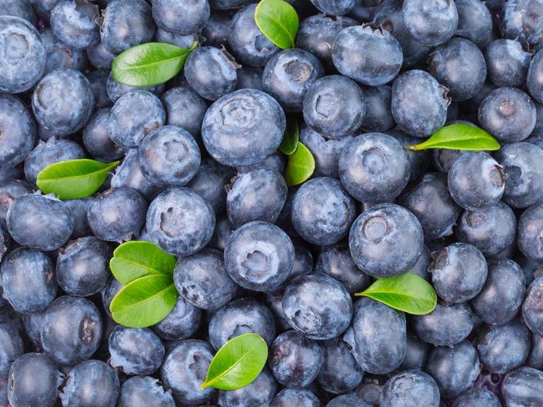 pile of fresh blueberries