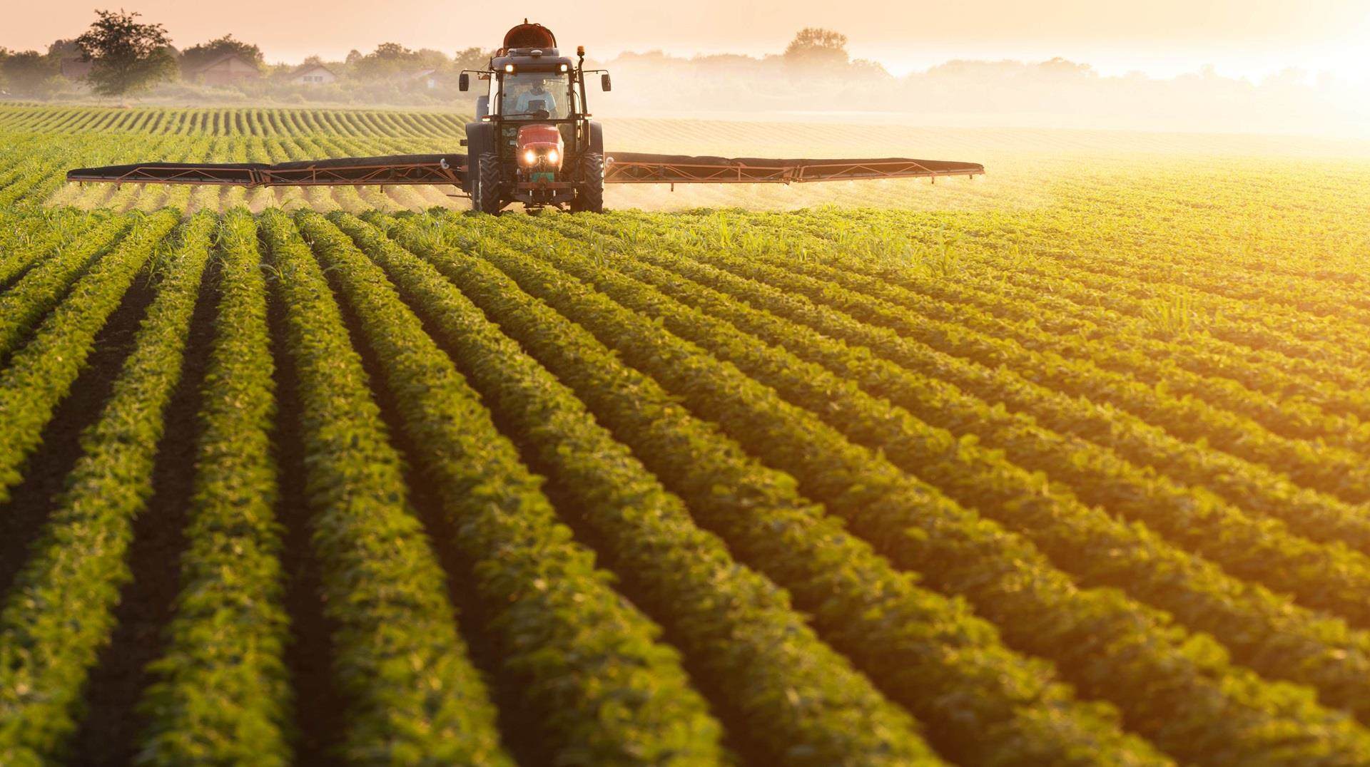 tractor spraying soybean field
